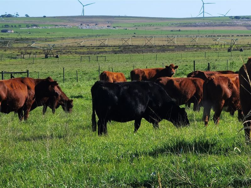 Well maintained small holding with big storage! - Photo 6