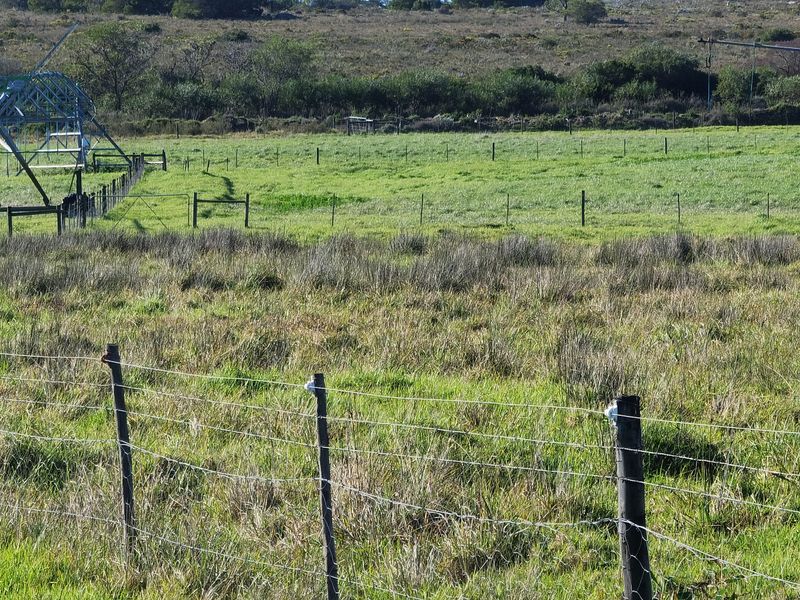 Well maintained small holding with big storage! - Photo 3