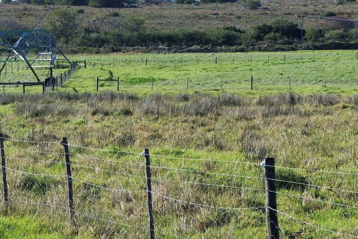 Well maintained small holding with big storage! - Photo 3