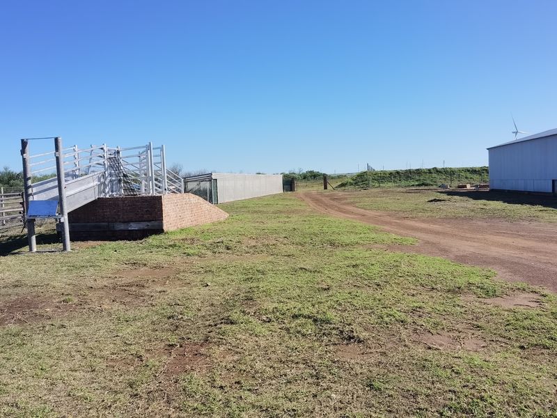 Well maintained small holding with big storage! - Photo 5