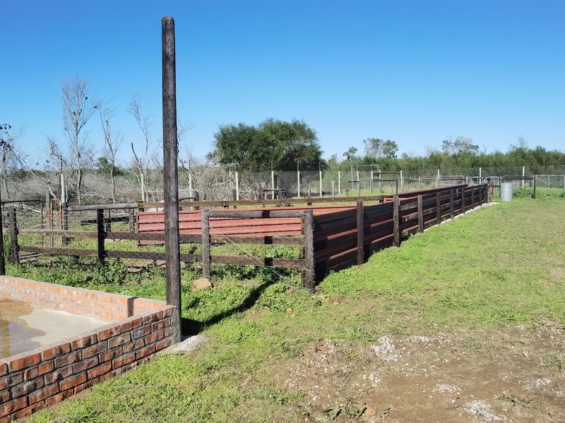 Well maintained small holding with big storage! - Photo 8