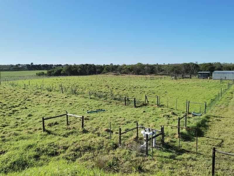 Well maintained small holding with big storage! - Photo 7