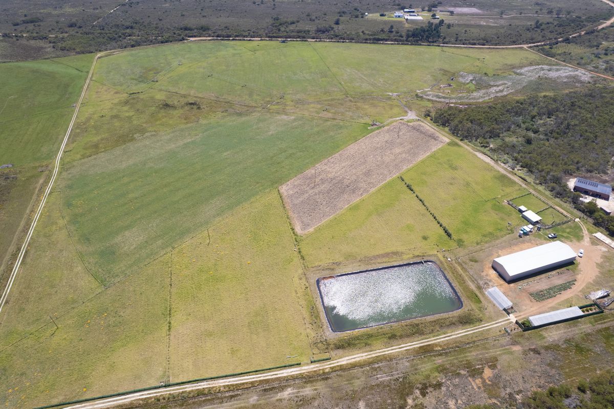 Well maintained small holding with big storage! - Photo 4