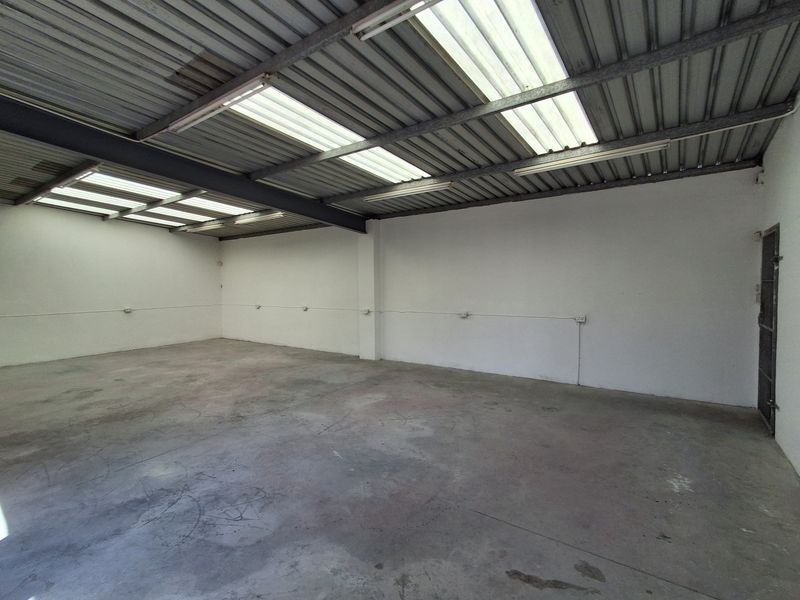 Spacious industrial utility area featuring exposed steel roof structure, translucent panels for natural light, and durable concrete flooring with surface-mounted electrical points.