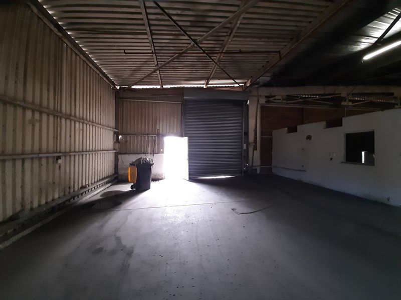 Spacious industrial utility area featuring high ceilings with exposed steel trusses, concrete flooring, and a large roller shutter door for vehicle or equipment access.