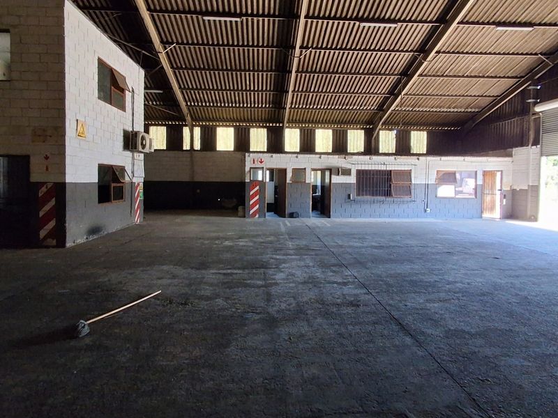 Spacious industrial warehouse featuring high ceilings with exposed steel trusses, concrete flooring, and a large roller shutter door for easy access.