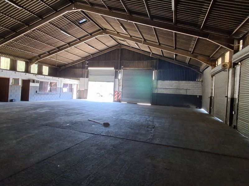 Spacious industrial warehouse featuring high ceilings with exposed steel trusses, concrete flooring, and multiple roller shutter doors for easy access.