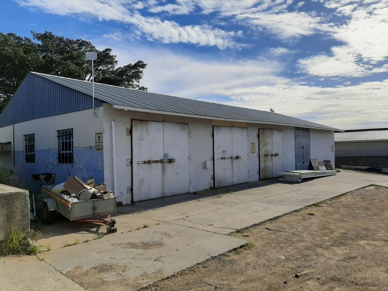 Industrial warehouse building featuring multiple steel access doors, corrugated metal roofing, and a concrete apron, showing signs of exterior wear and maintenance requirements.