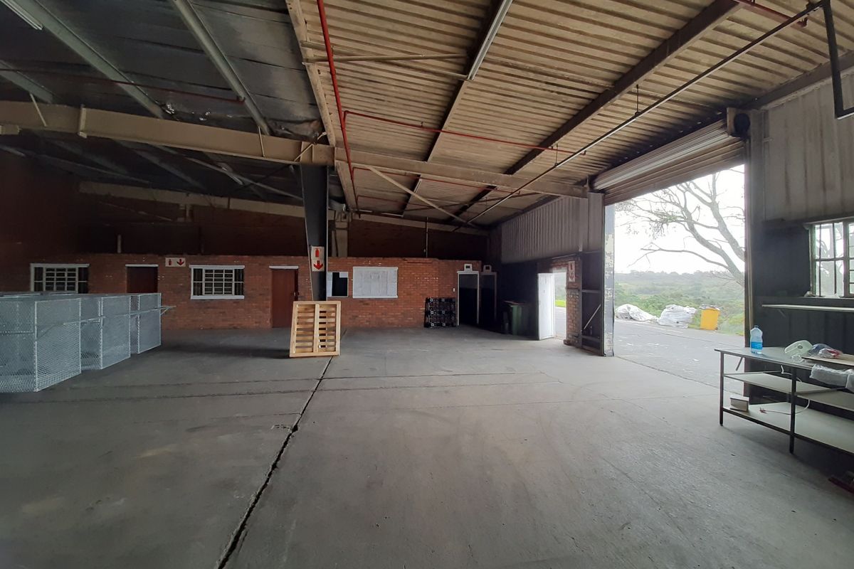 Spacious industrial warehouse unit featuring concrete flooring, exposed steel roof trusses, fire sprinkler system, and a large roller shutter door for easy access.