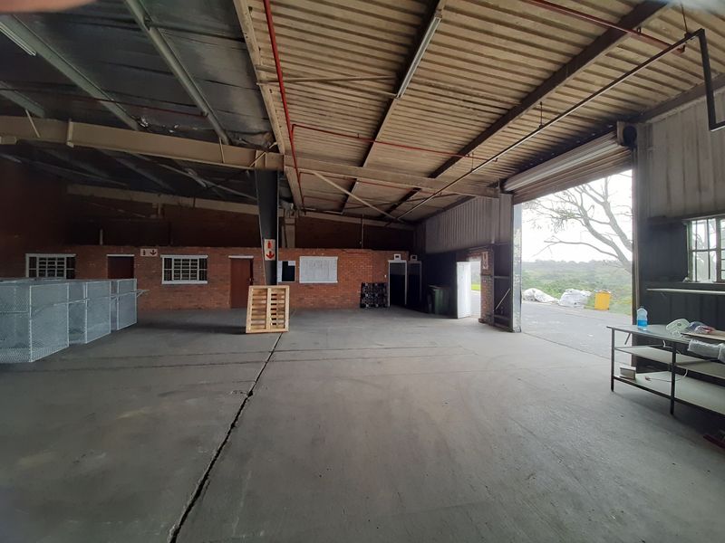 Spacious industrial warehouse unit featuring concrete flooring, exposed steel roof trusses, fire sprinkler system, and a large roller shutter door for easy access.
