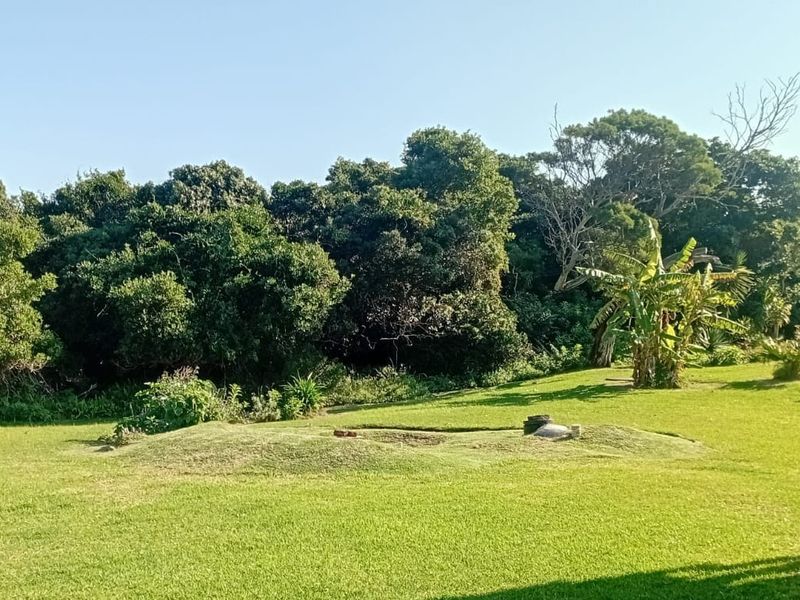 A spacious, well-maintained garden area featuring a large lawn, mature trees, and established greenery, providing a peaceful outdoor setting.