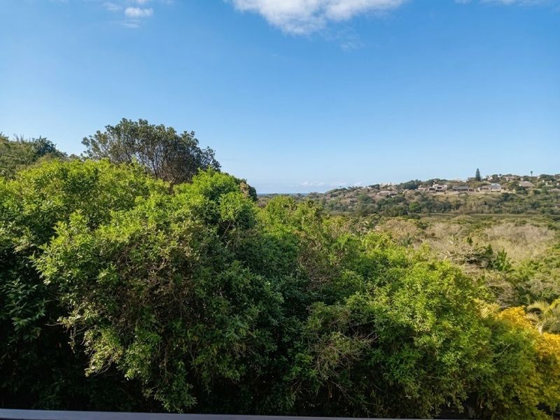 A scenic elevated view overlooking lush green coastal vegetation and distant residential hillside landscape under a clear blue sky.
