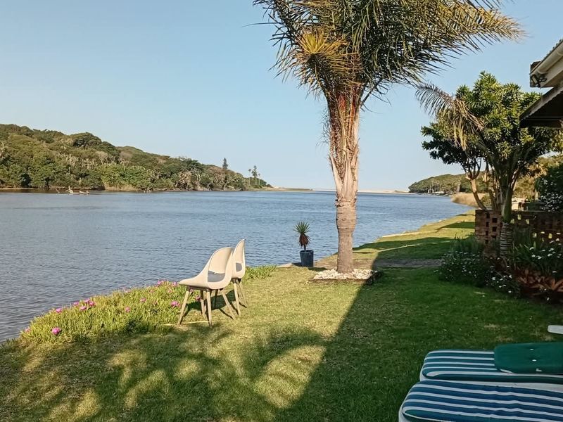 A scenic view of the riverfront garden featuring a well-maintained lawn, mature palm tree, and direct access to the water.