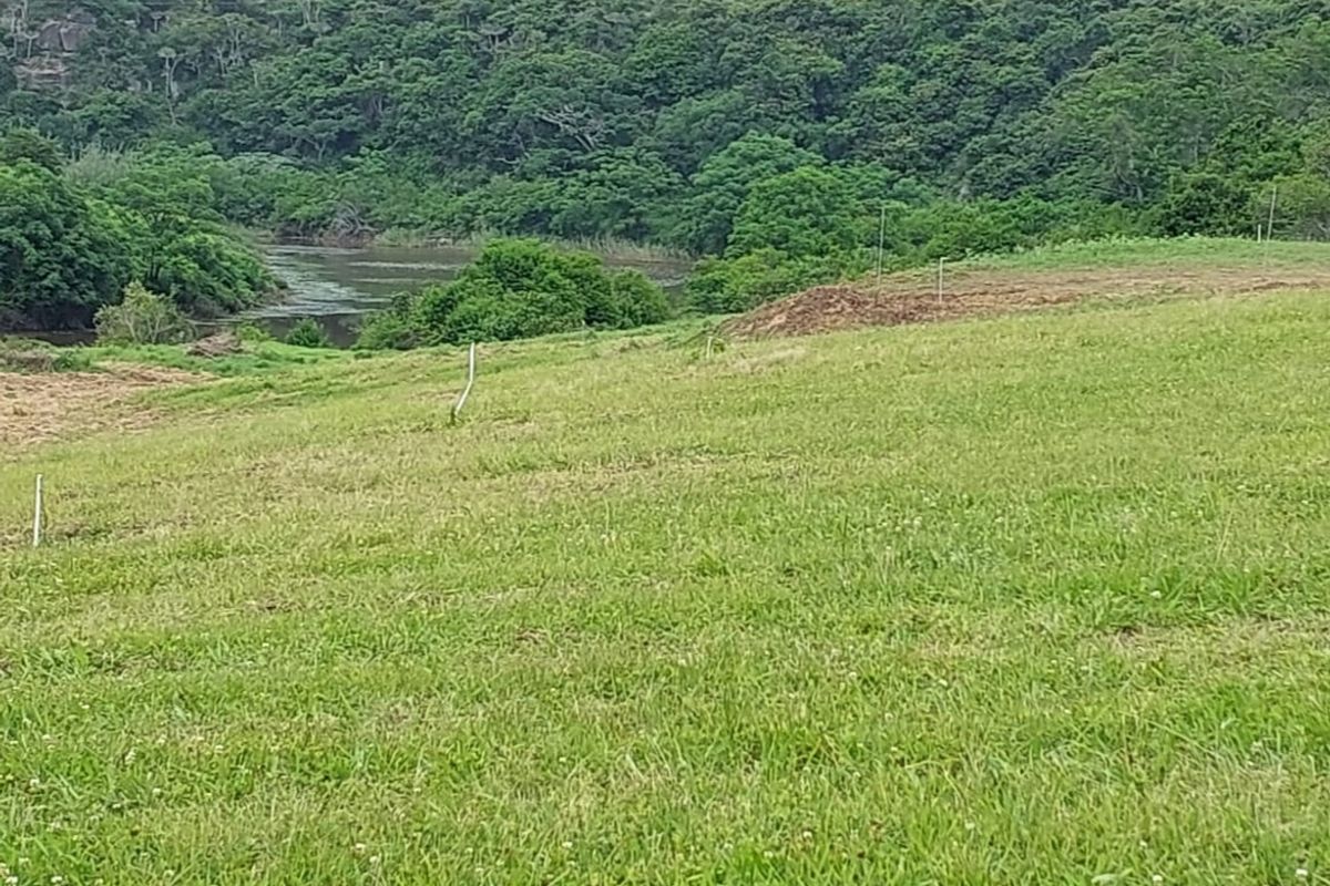 Vacant Land Residential For Sale In East London - Photo 2