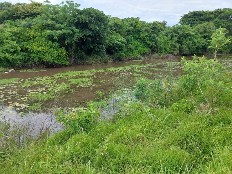 Vacant Land Residential For Sale In East London - Photo 10