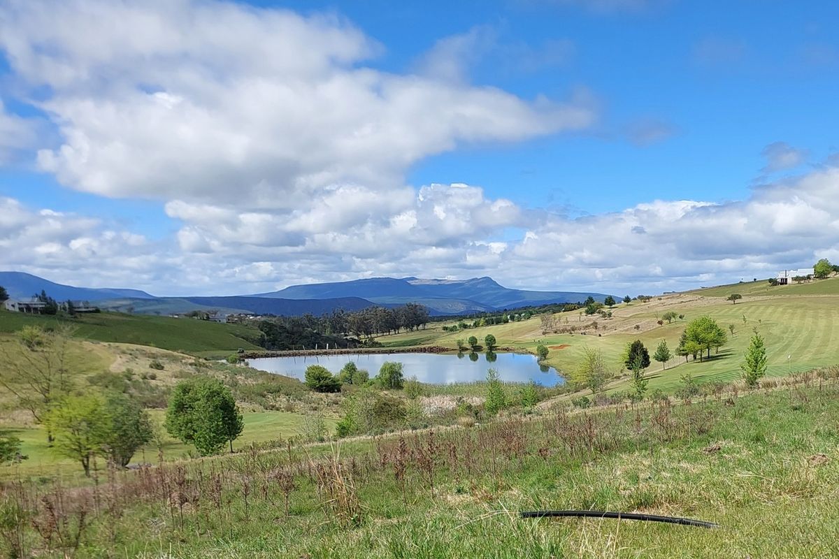 Vacant Land Residential For Sale In Seymour - Photo 4