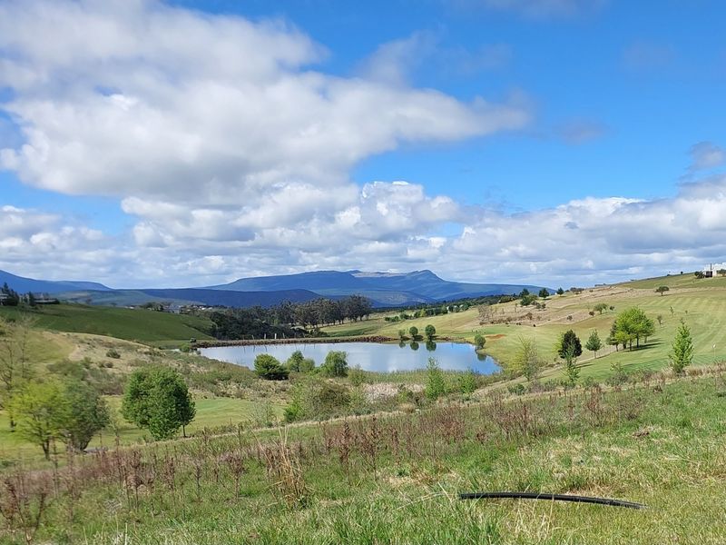 Vacant Land Residential For Sale In Seymour - Photo 6