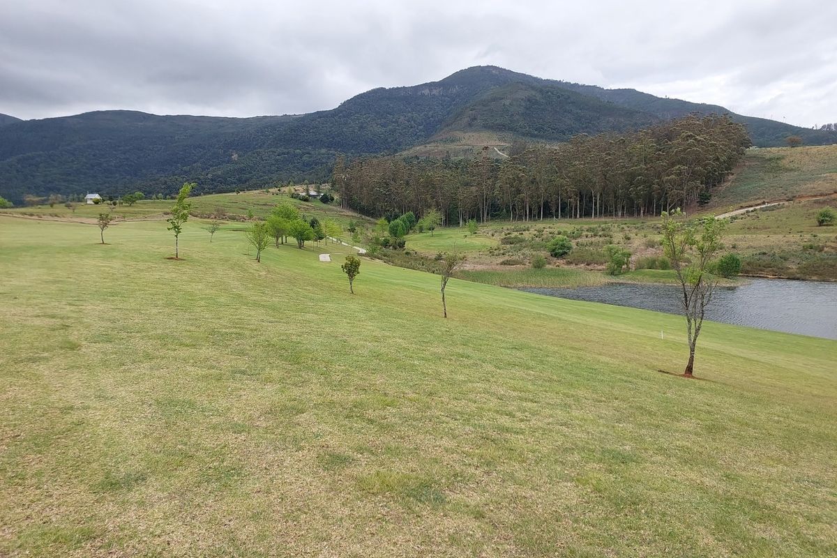 Vacant Land Residential For Sale In Seymour - Photo 5