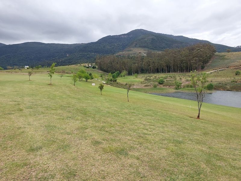 Vacant Land Residential For Sale In Seymour - Photo 5