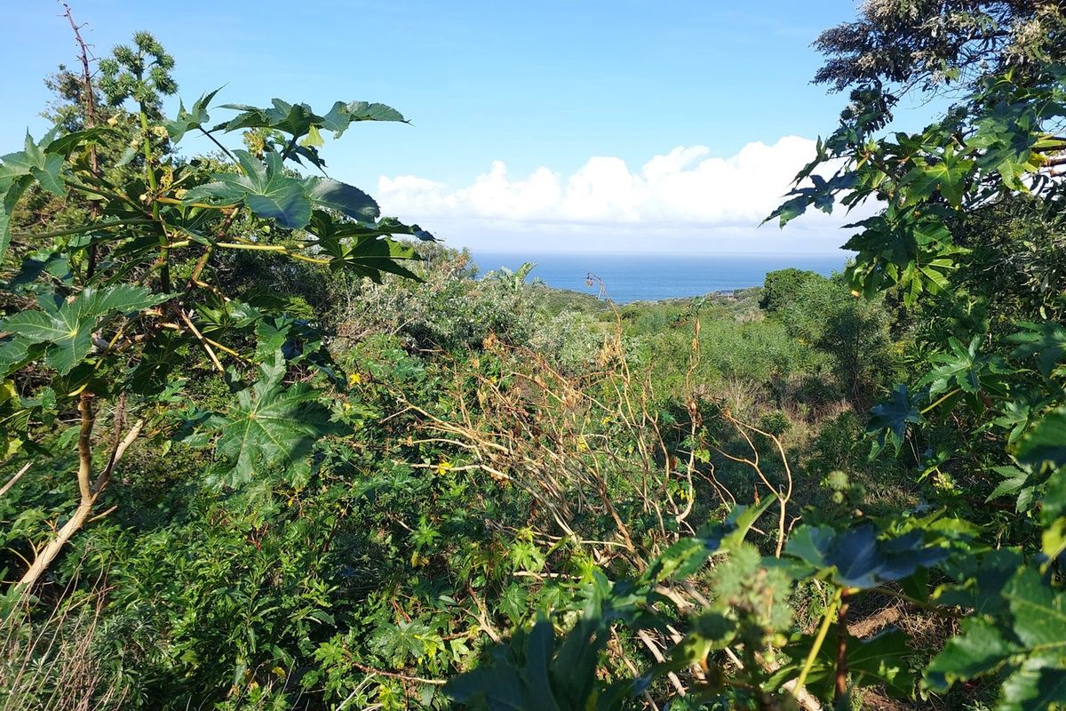 Vacant Land Residential For Sale In Cintsa - Photo 5