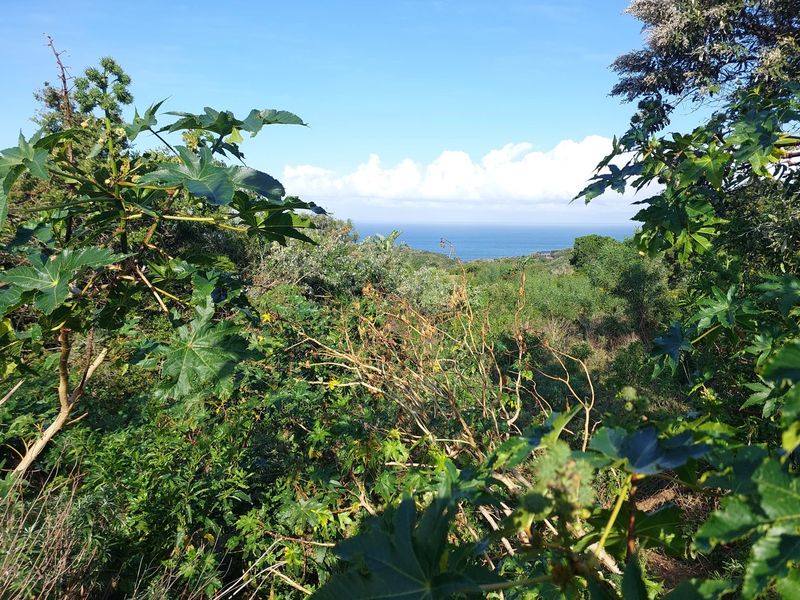 Vacant Land Residential For Sale In Cintsa - Photo 5