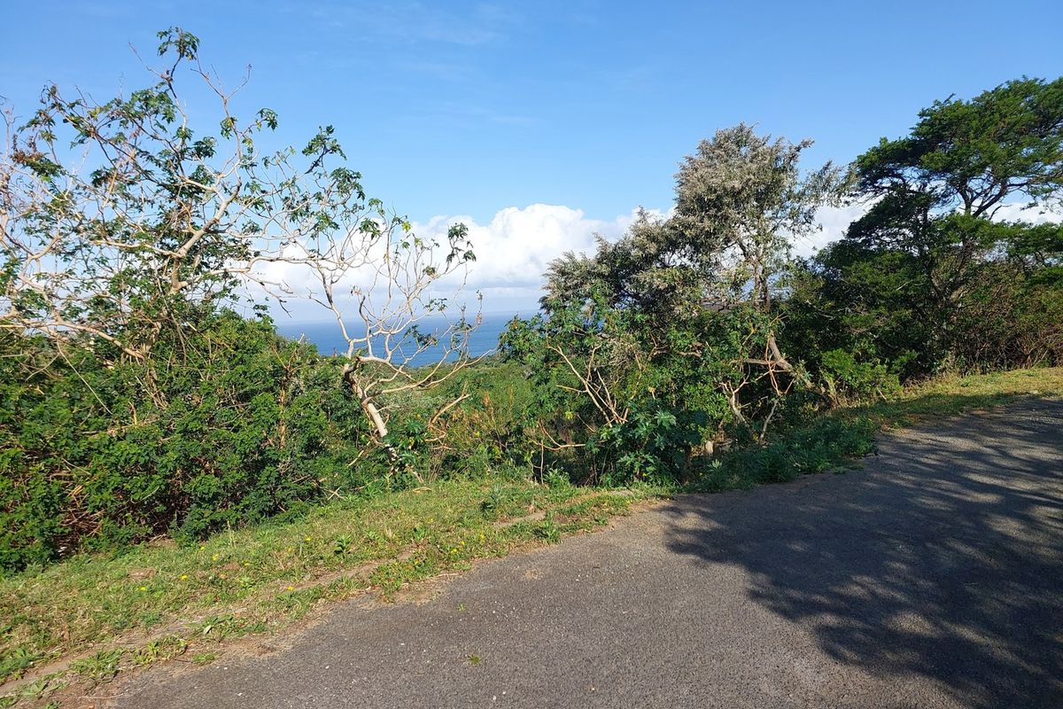 Vacant Land Residential For Sale In Cintsa - Photo 4