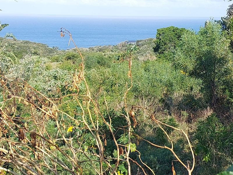 Vacant Land Residential For Sale In Cintsa - Photo 6