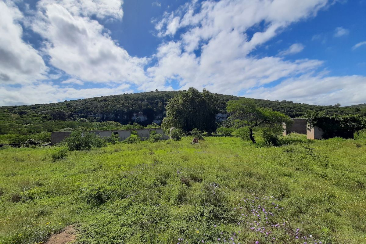 Great residential development land in King Williamstown (Qonce)! - Photo 2