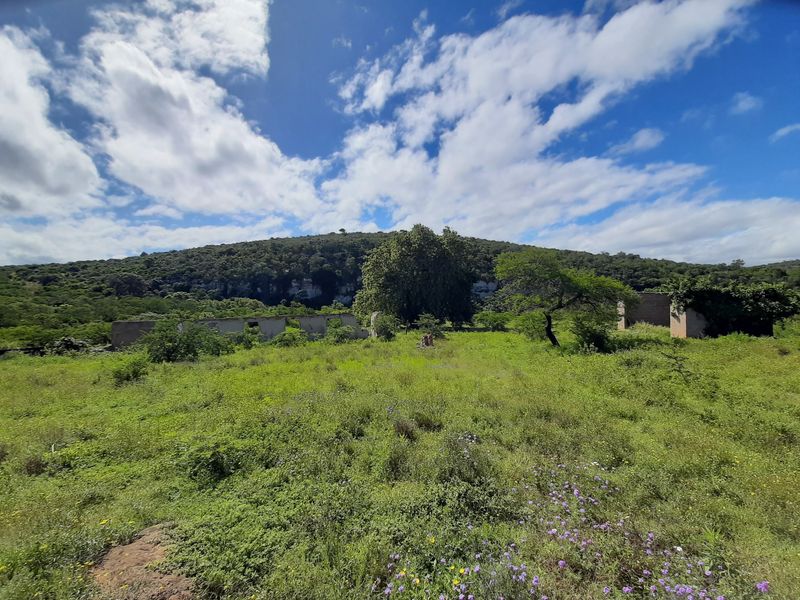 Great residential development land in King Williamstown (Qonce)! - Photo 2