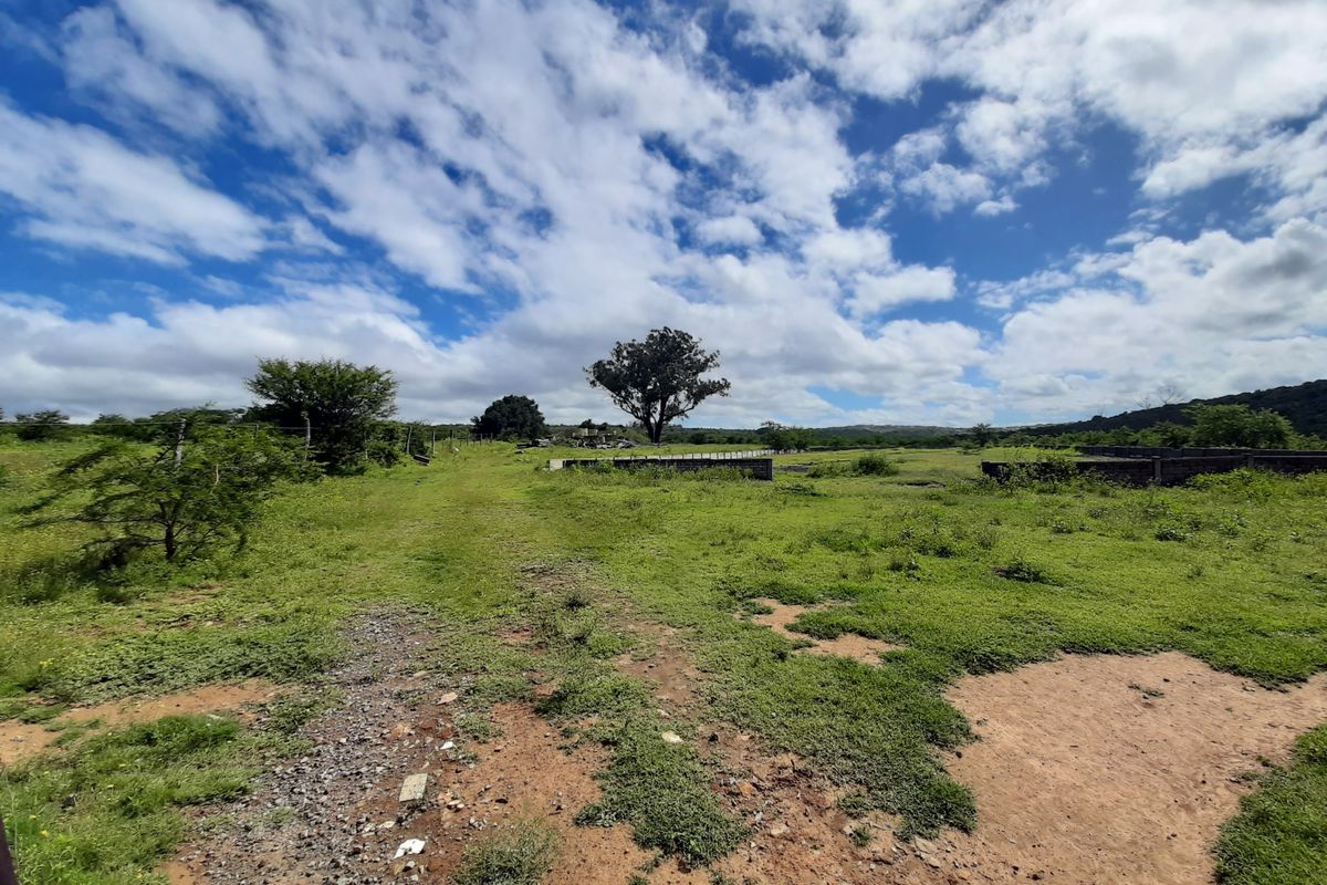 Great residential development land in King Williamstown (Qonce)! - Photo 3