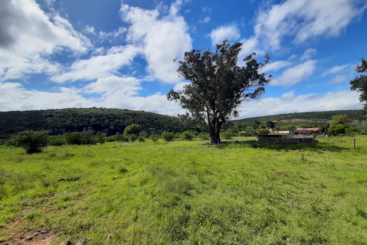 Great residential development land in King Williamstown (Qonce)! - Photo 5