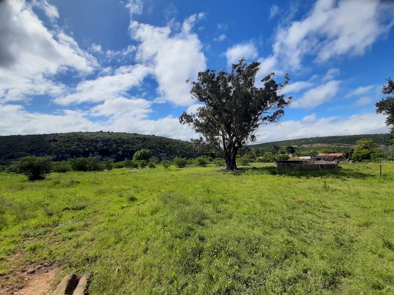 Great residential development land in King Williamstown (Qonce)! - Photo 5