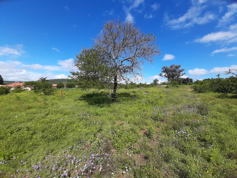 Great residential development land in King Williamstown (Qonce)! - Photo 6