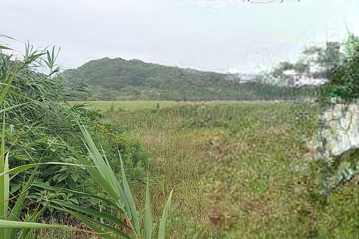 Vacant Land Residential For Sale In East London - Photo 3