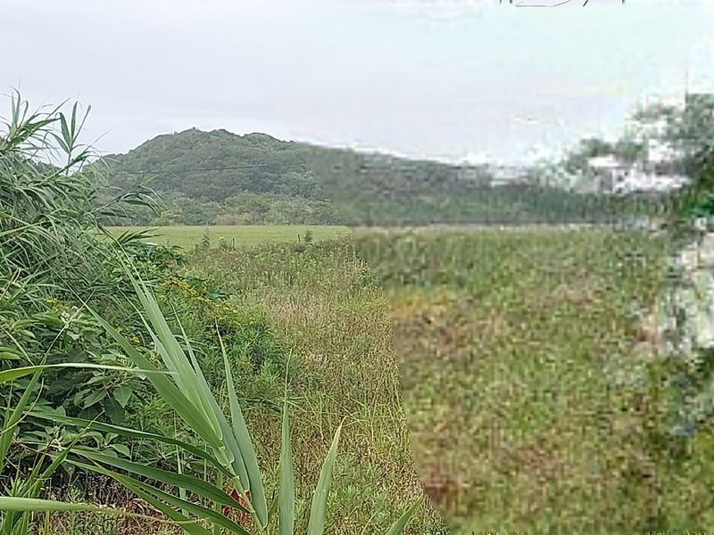 Vacant Land Residential For Sale In East London - Photo 3