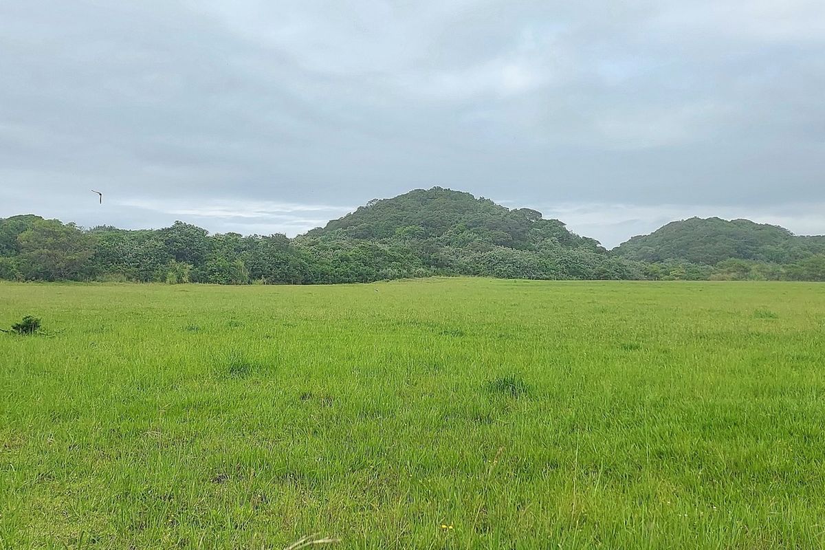 Vacant Land Residential For Sale In East London - Photo 5