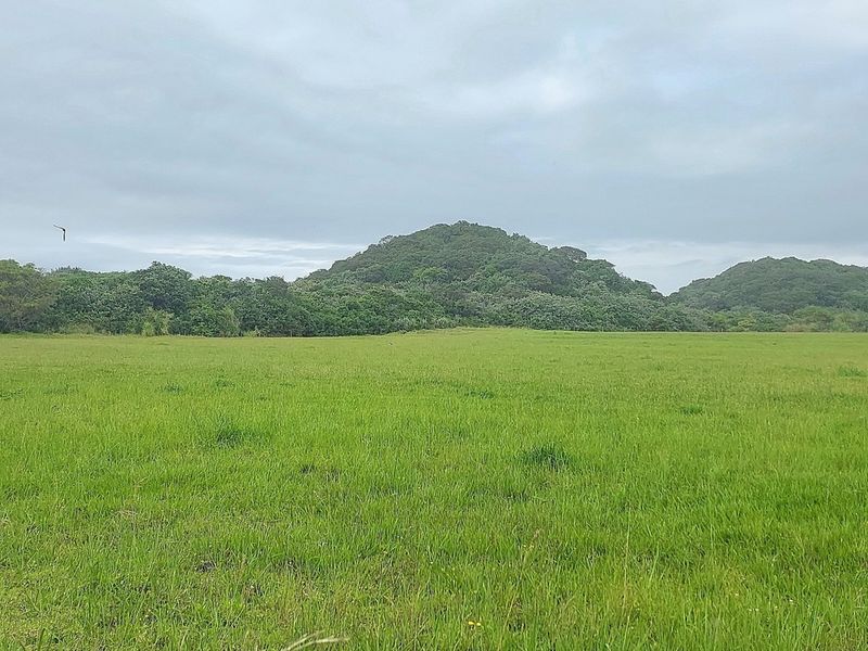 Vacant Land Residential For Sale In East London - Photo 5