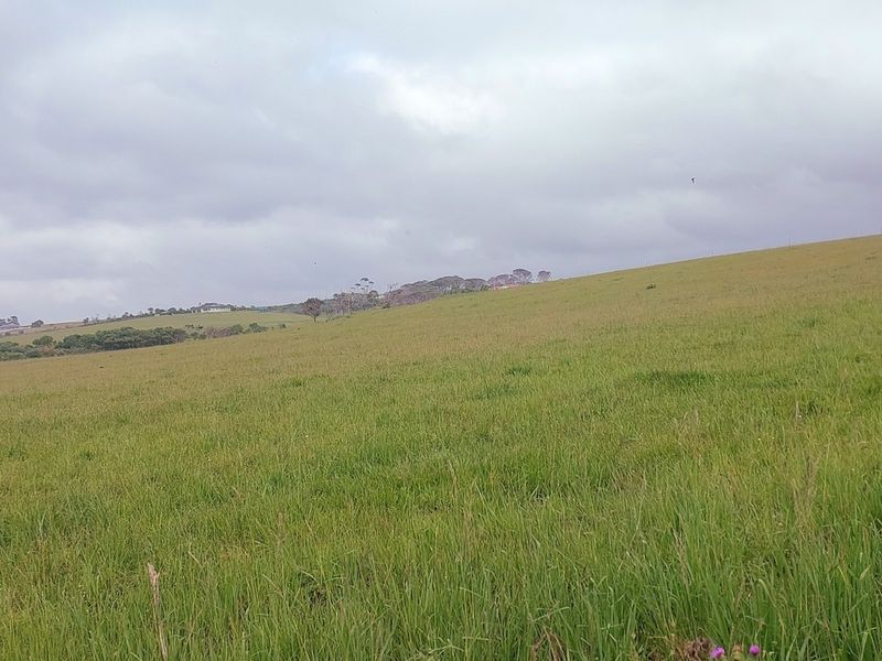 Vacant Land Residential For Sale In East London - Photo 7