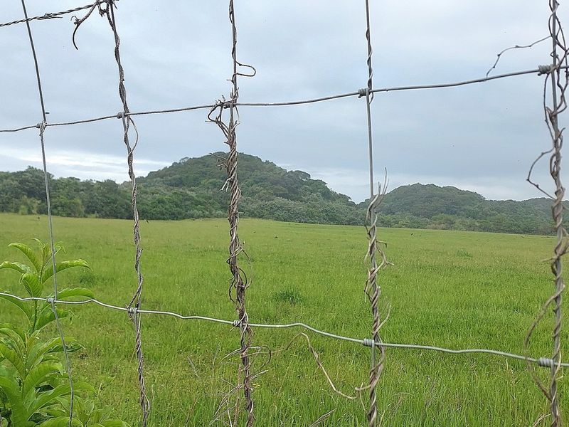 Vacant Land Residential For Sale In East London - Photo 6