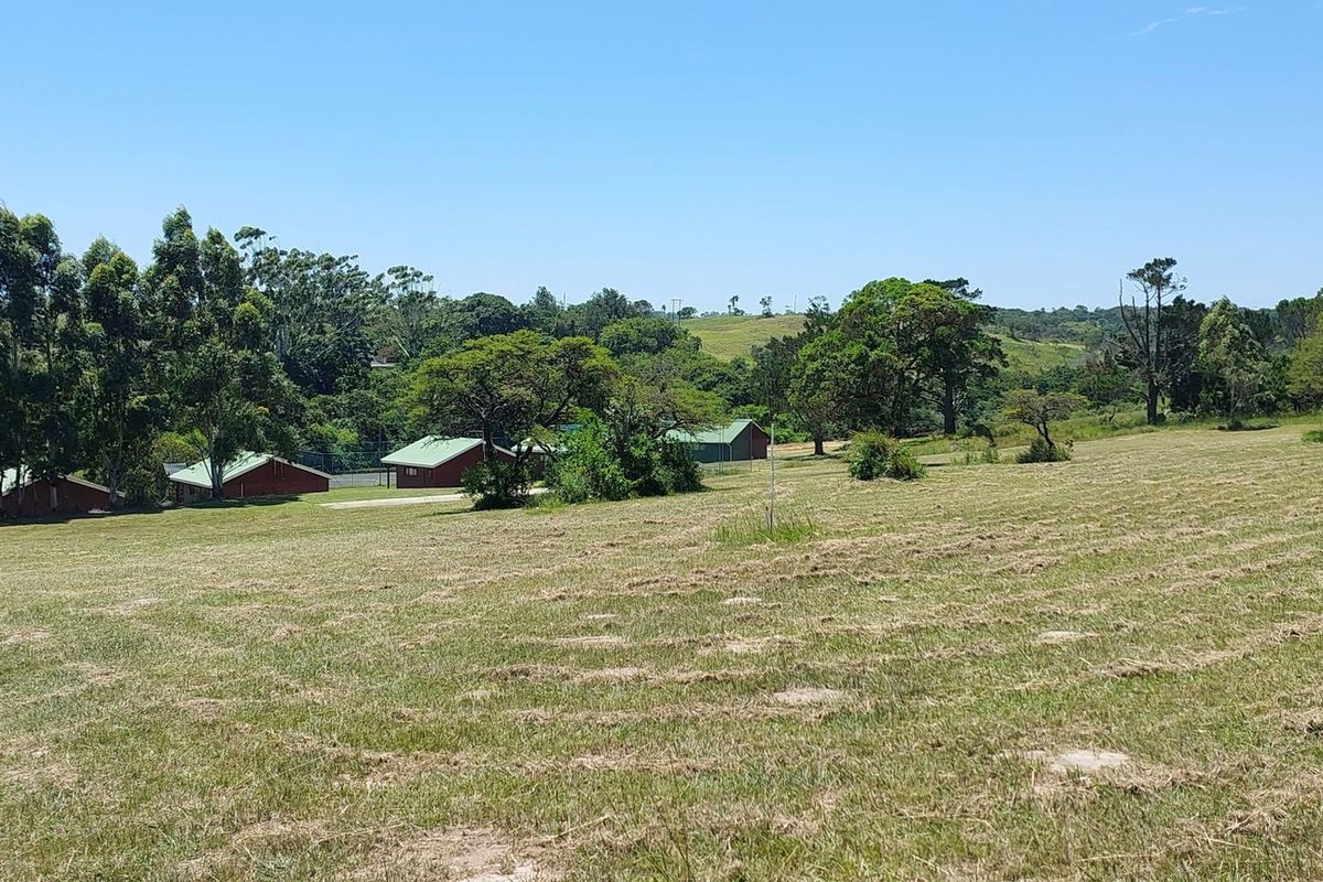 A wide-angle view of a vacant residential plot featuring cleared grassy terrain, mature trees, and distant neighboring structures under a clear blue sky.