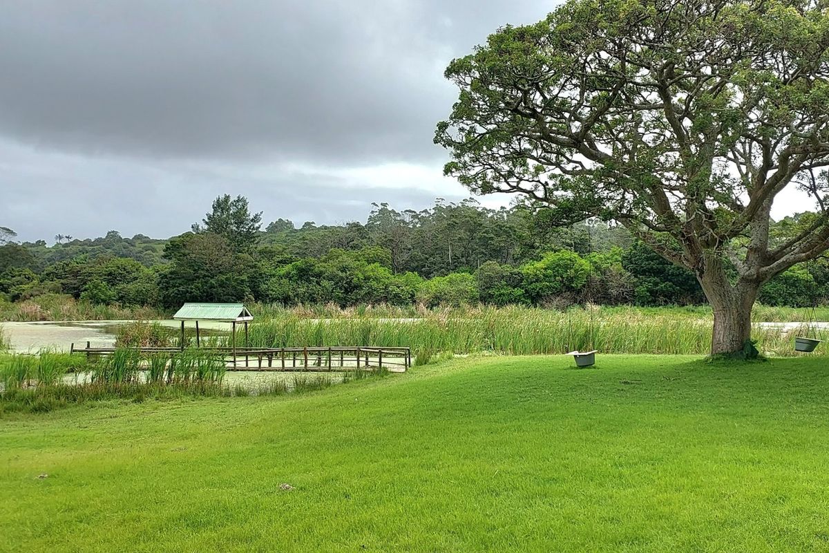 Vacant Land Residential For Sale In East London - Photo 2