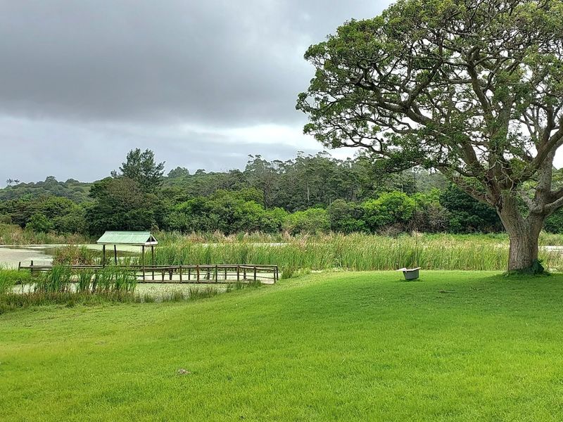 Vacant Land Residential For Sale In East London - Photo 2