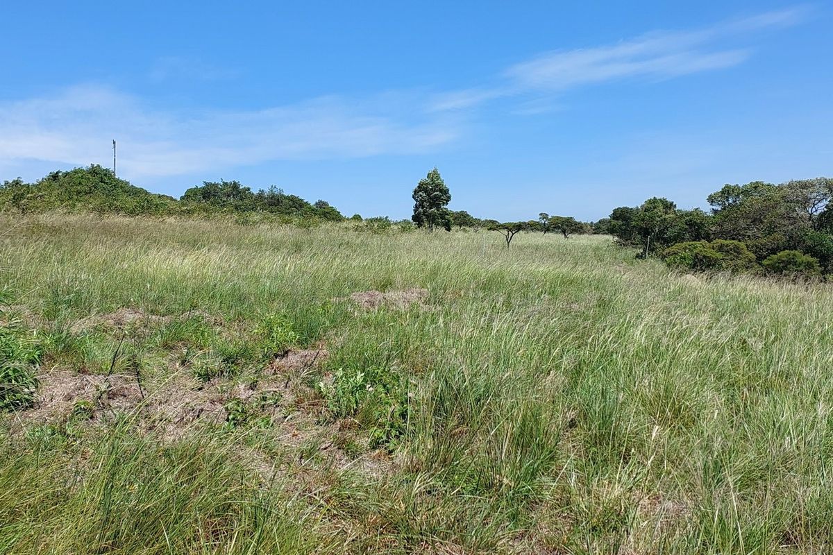 Vacant Land Residential For Sale In East London - Photo 5