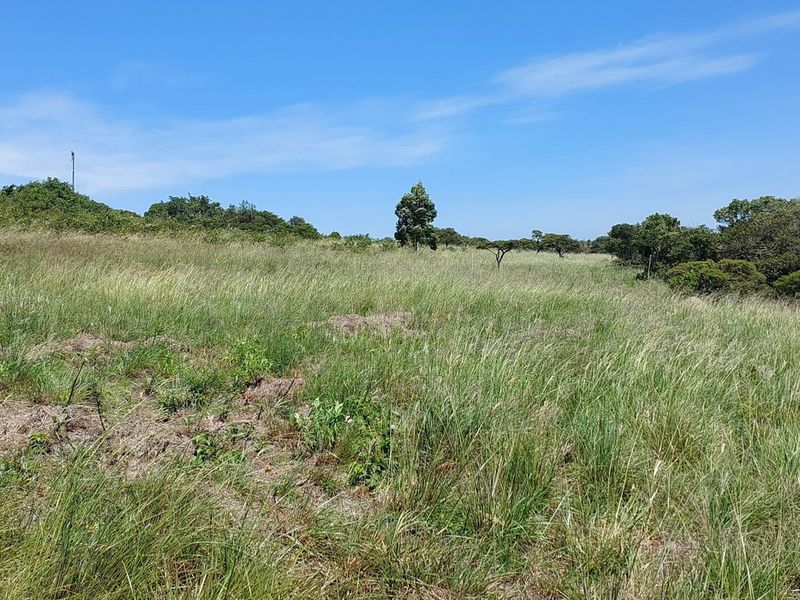 Vacant Land Residential For Sale In East London - Photo 5