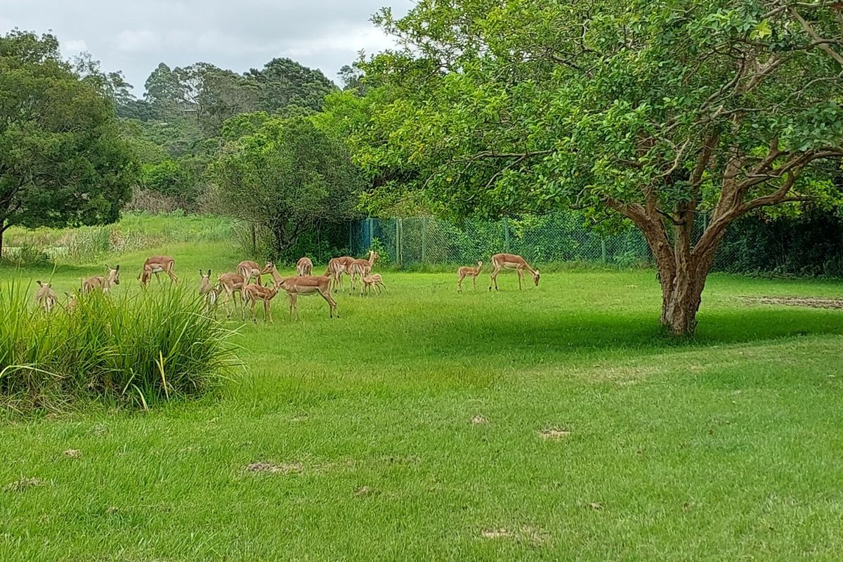 Vacant Land Residential For Sale In East London - Photo 3