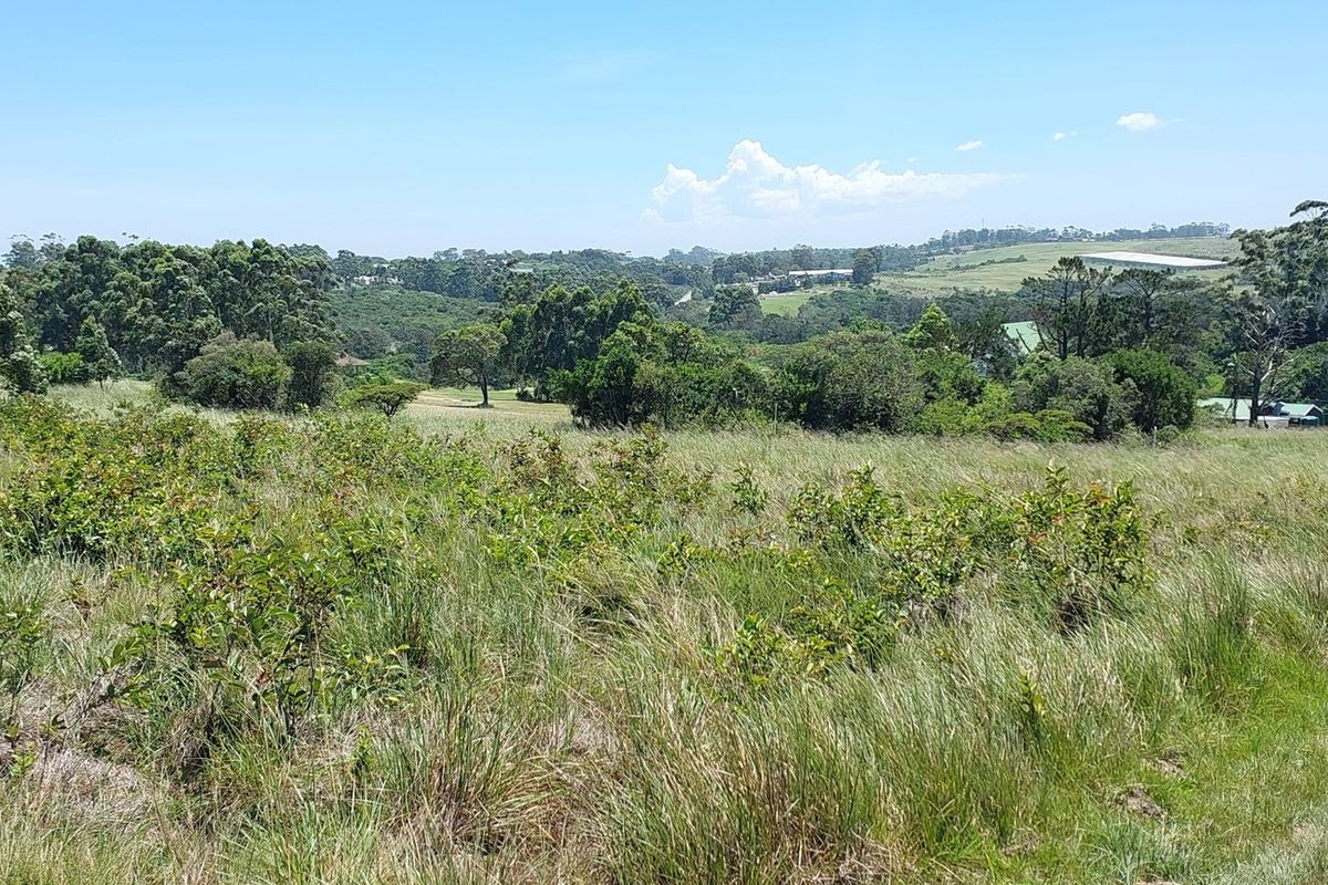 Vacant Land Residential For Sale In East London - Photo 4