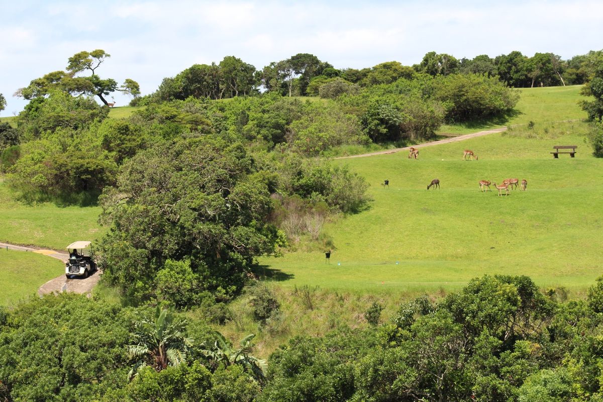 Vacant Land Residential For Sale In East London - Photo 3