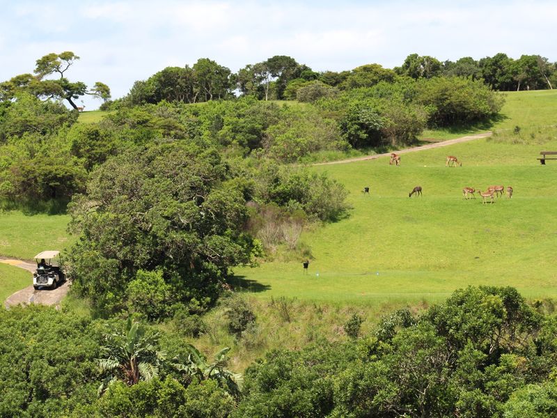 Vacant Land Residential For Sale In East London - Photo 3