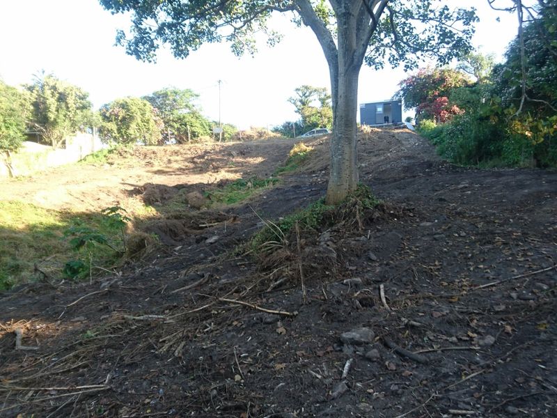 A view of a cleared residential plot featuring a mature tree and sloping terrain, ready for development.