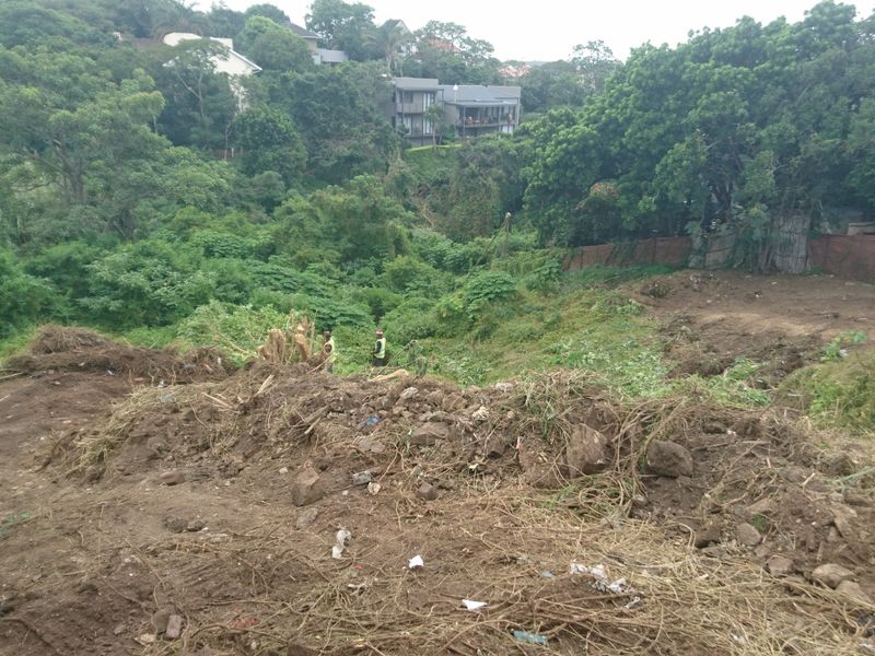 A view of a sloped, partially cleared residential vacant land plot with dense surrounding vegetation.